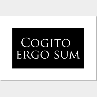 Cogito, ergo sum Posters and Art